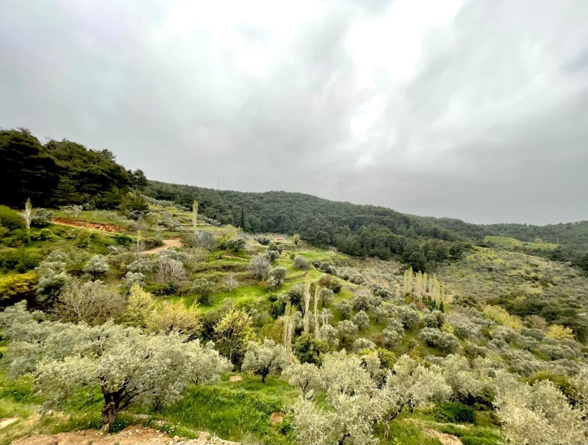 Ephesus Retreat Ξενοδοχείο Σμύρνη Εξωτερικό φωτογραφία