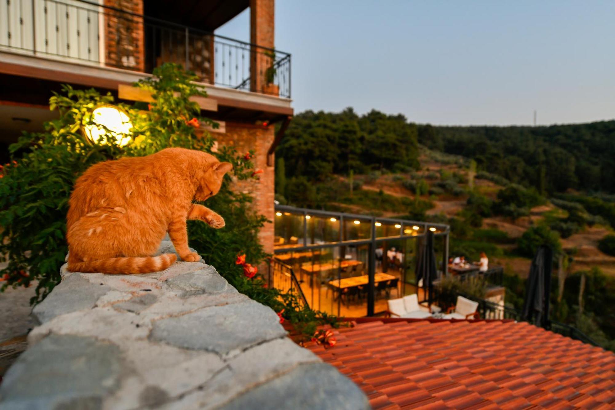 Ephesus Retreat Ξενοδοχείο Σμύρνη Εξωτερικό φωτογραφία