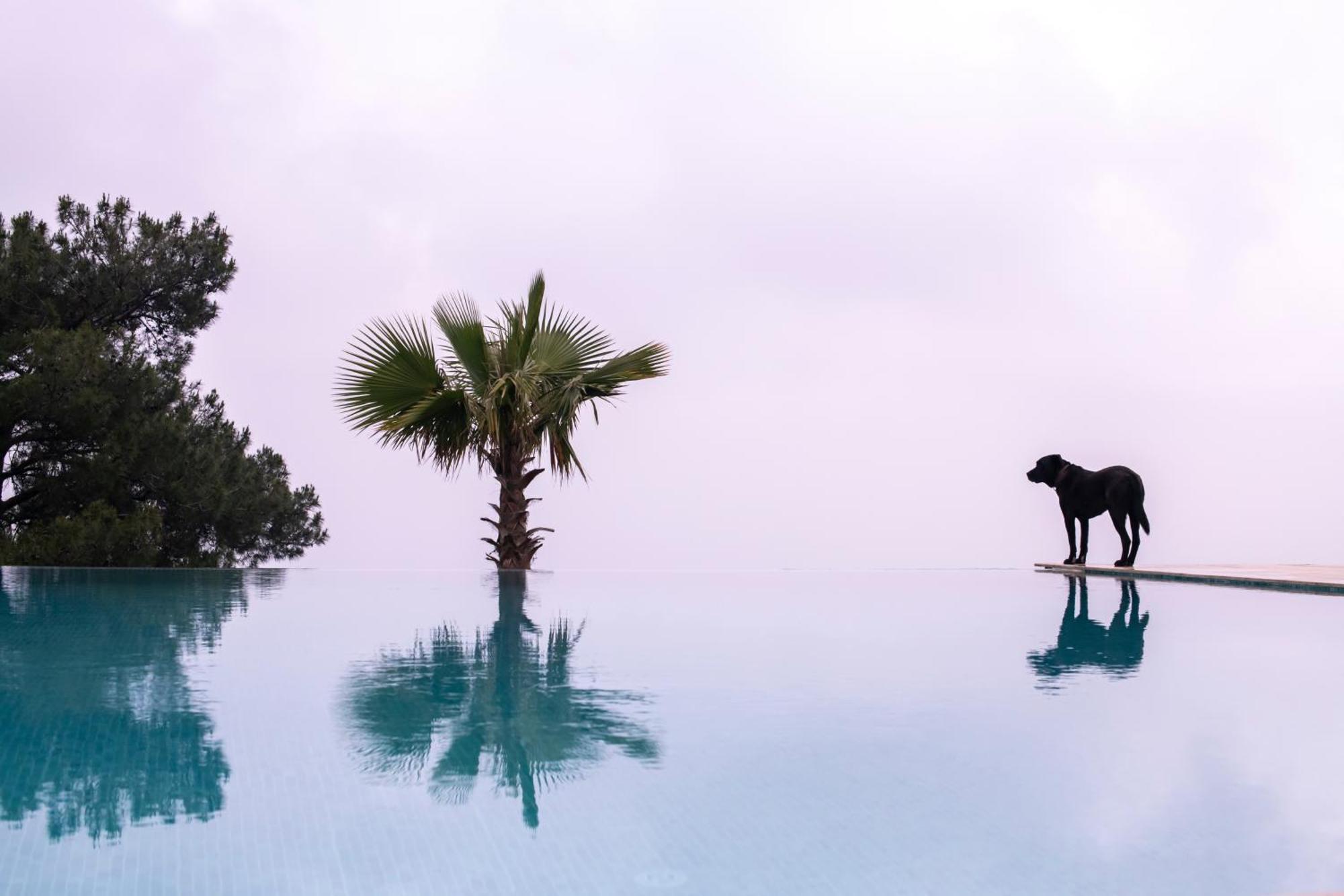 Ephesus Retreat Ξενοδοχείο Σμύρνη Εξωτερικό φωτογραφία