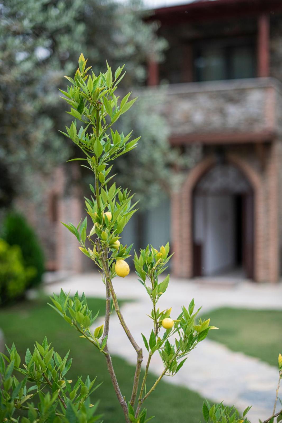 Ephesus Retreat Ξενοδοχείο Σμύρνη Εξωτερικό φωτογραφία
