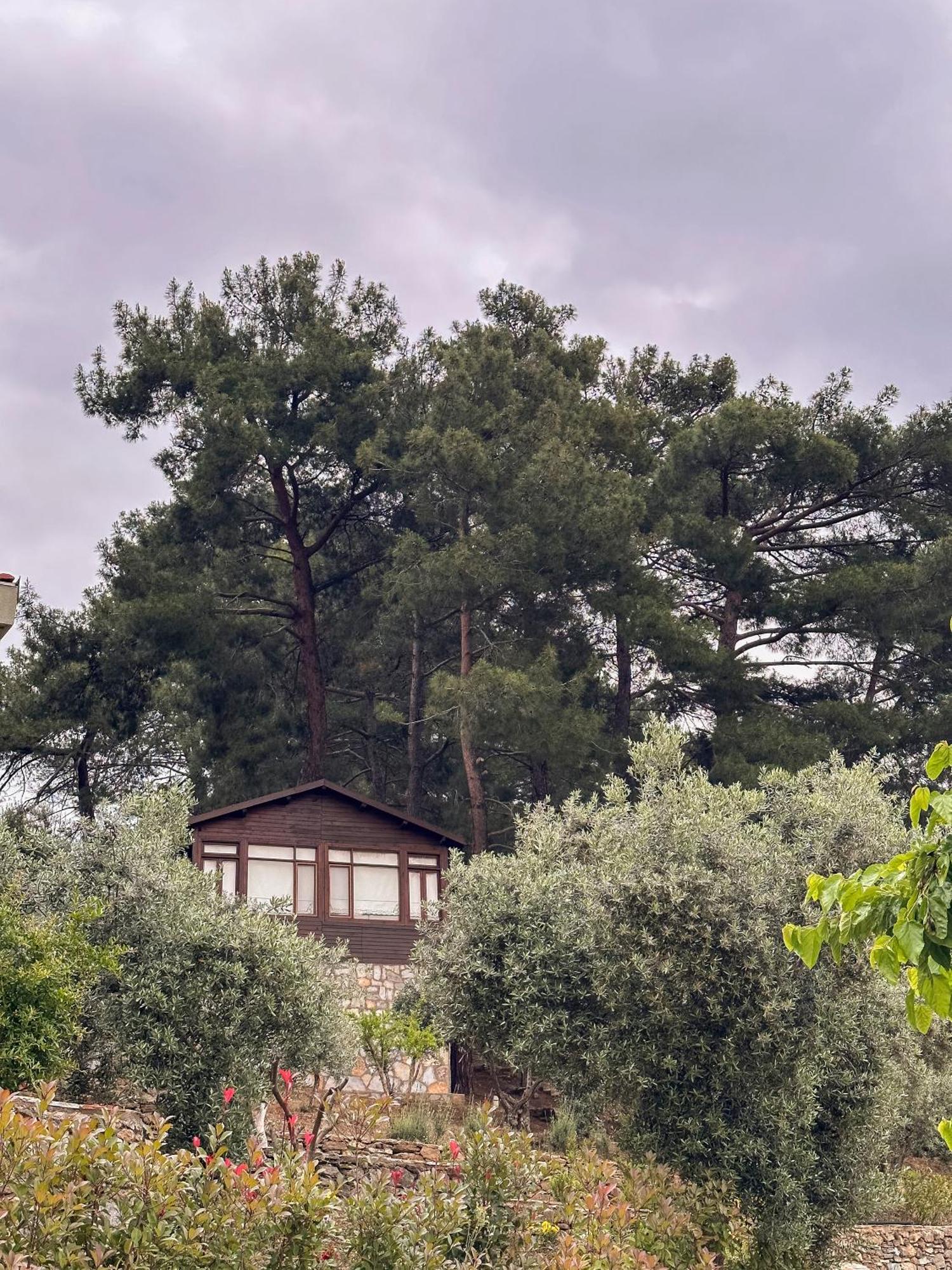 Ephesus Retreat Ξενοδοχείο Σμύρνη Εξωτερικό φωτογραφία